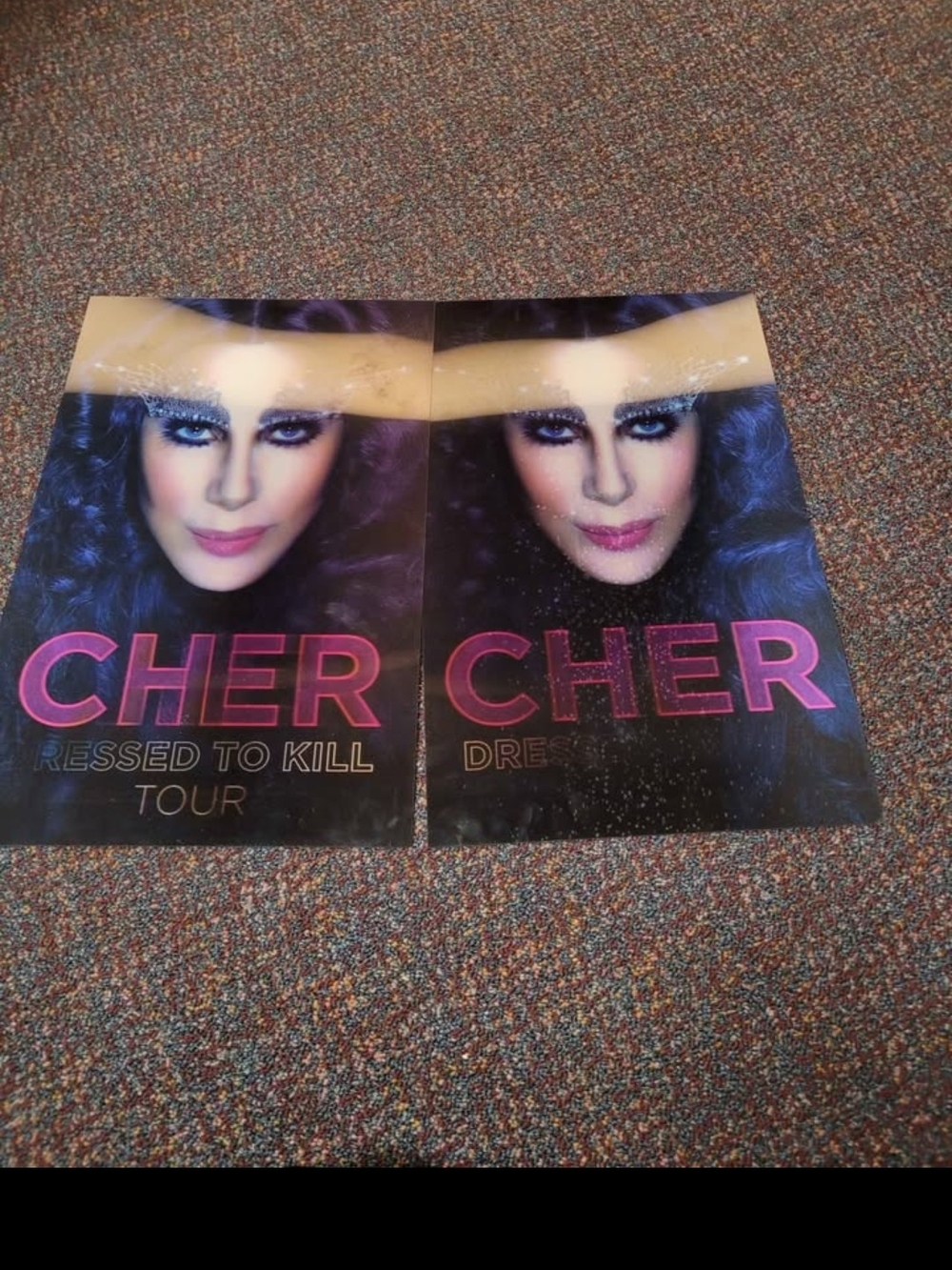 Rare Cher "Dressed to Kill" 2014 Tour Lenticular 3D Posters (Set of 2)